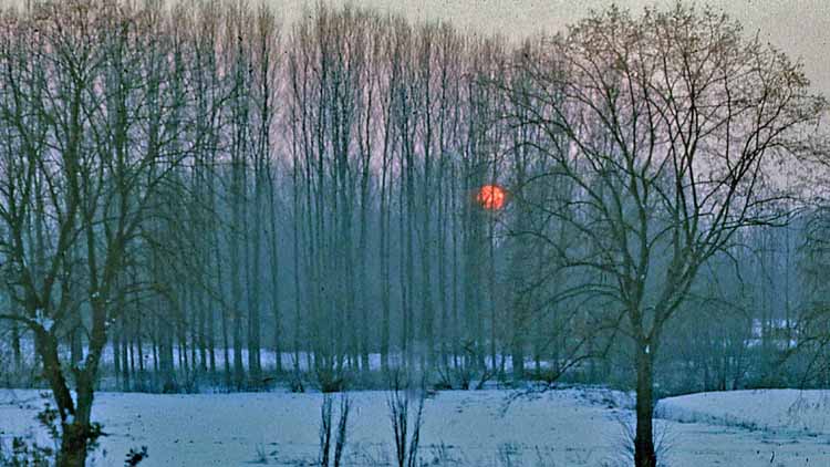 winter scene